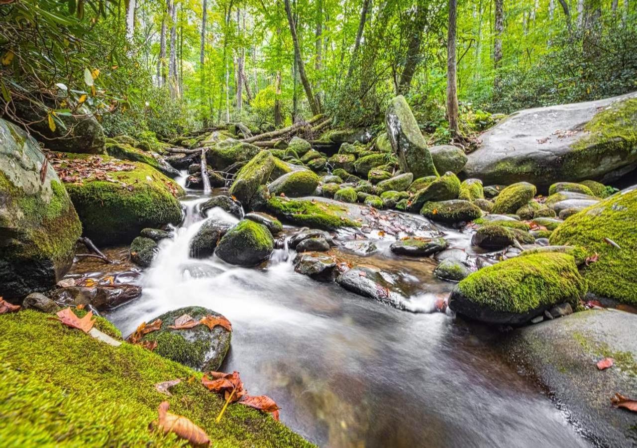 The Grand Orchard Lodge - Gatlinburg, Tn 외부 사진