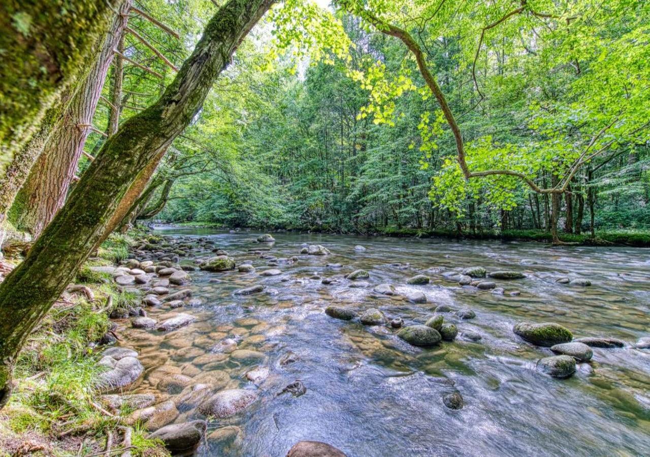 The Grand Orchard Lodge - Gatlinburg, Tn 외부 사진